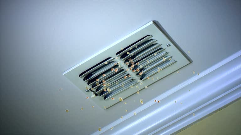 Ductwork Cleaning Services in Jupiter, FL