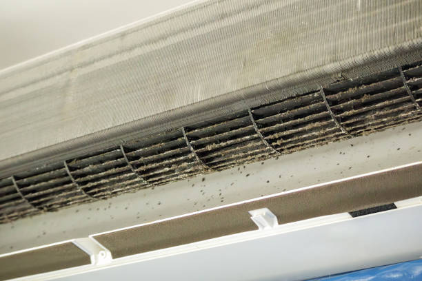 Best HVAC System Cleaning  in Jupiter, FL